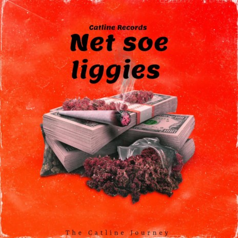 Net Soe Liggies | Boomplay Music