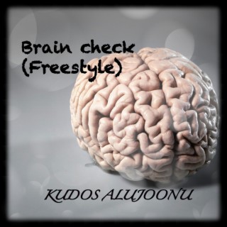 Brain Check (Freestyle) lyrics | Boomplay Music