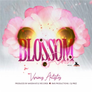 Blossom Riddim