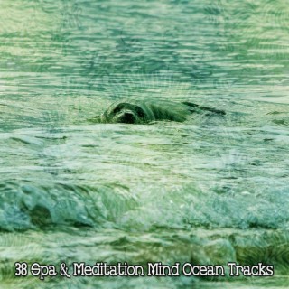 38 Spa & Meditation Mind Ocean Tracks