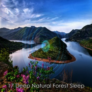 17 Deep Natural Forest Sleep