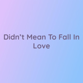 Didn't Mean To Fall In Love