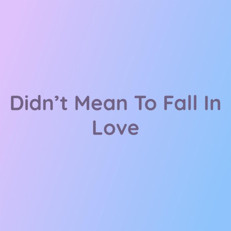 Didn't Mean To Fall In Love | Boomplay Music