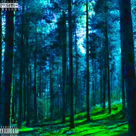 From The Forest | Boomplay Music