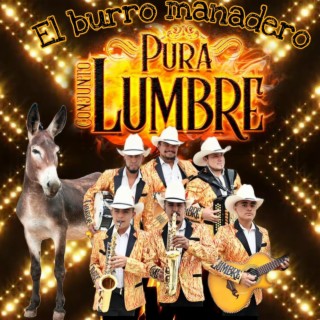 El burro manadero