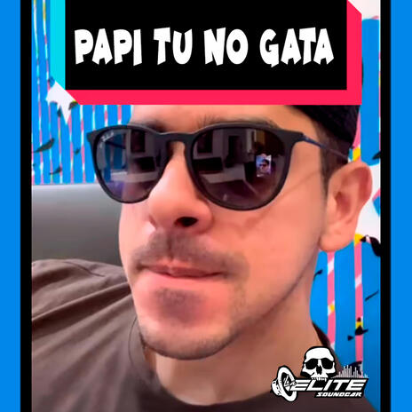 Papi Tu No Gata Car Audio | Boomplay Music