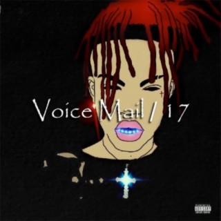 VoiceMail / 17