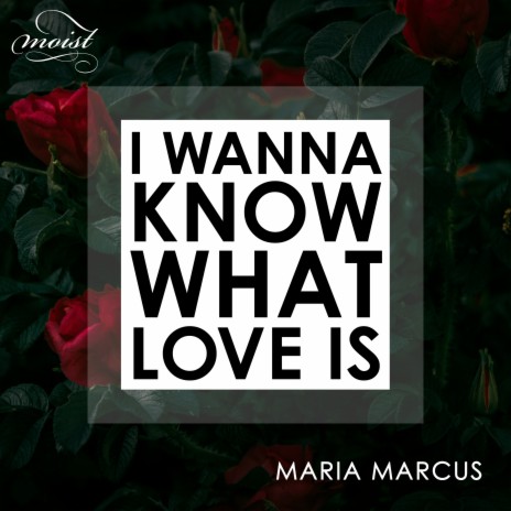 I Wanna Know What Love Is ft. Maria Marcus