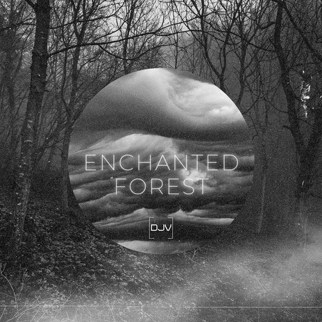 Enchanted Forest | Boomplay Music