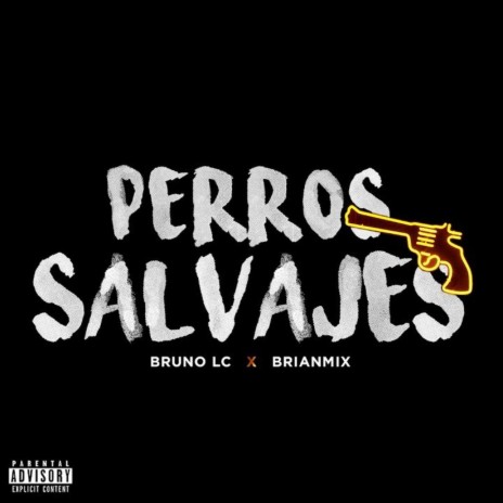 Perros Salvajes ft. Brianmix | Boomplay Music