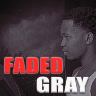 Faded Gray Audio Book Chapter Story