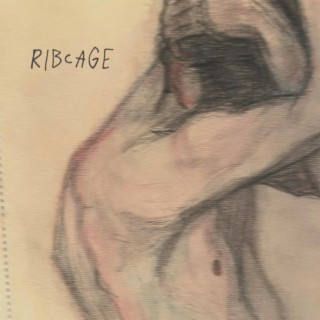 ribcage lyrics | Boomplay Music