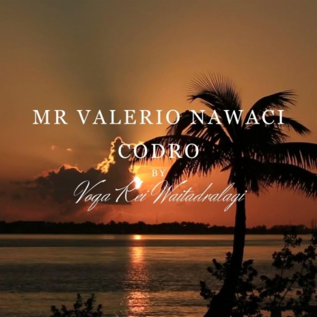 Mr Valerio Nawaci Codro