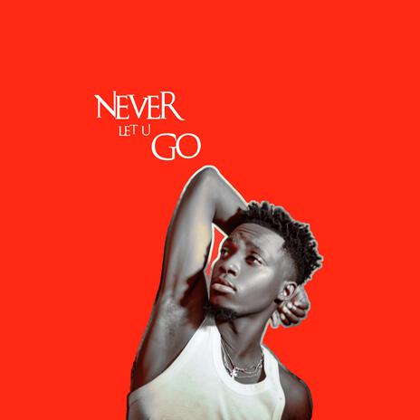 Never Let U Go | Boomplay Music