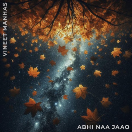Abhi Naa Jaao | Boomplay Music