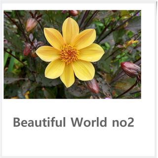 Beautiful World no2