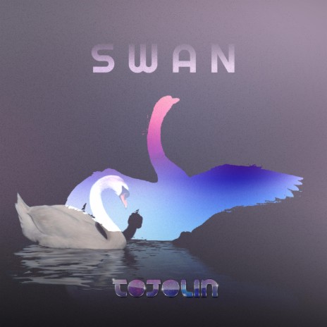 Swan ft. Lucy Suzanne | Boomplay Music