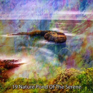 19 Nature Pond Of The Serene