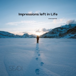 Impressions Left in Life (Instrumental)