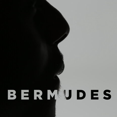 BERMUDES | Boomplay Music