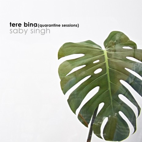 Tere Bina (Quarantine Sessions) | Boomplay Music