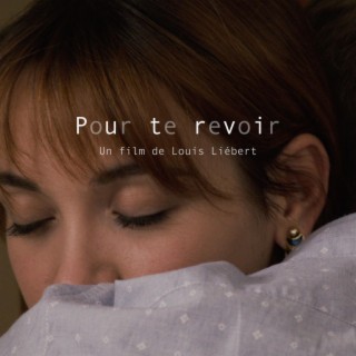 Pour te revoir (Original Motion Picture Soundtrack)