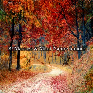 29 Massage & Mind Nature Sounds