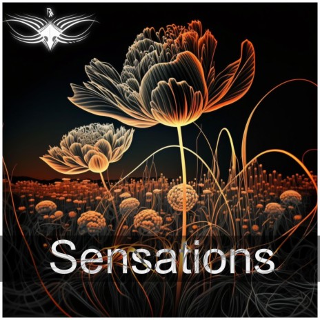 Sensations | Boomplay Music