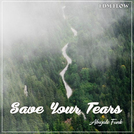 Save your tears (Cover) | Boomplay Music