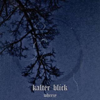 kalter blick