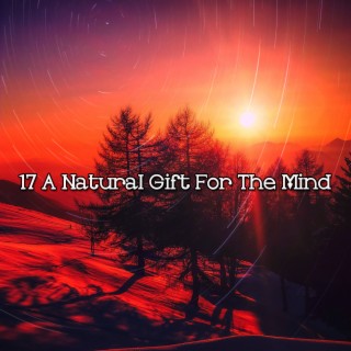 17 A Natural Gift For The Mind