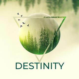 Destinity (Original Mix)