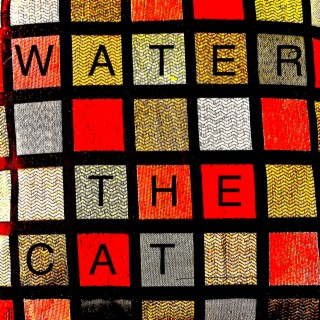 Water The Cat