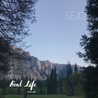 Real Life (Instrumental)