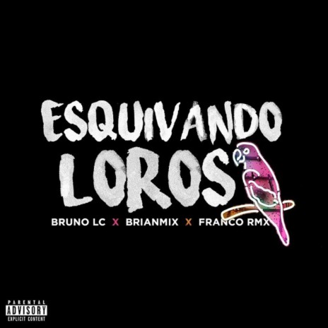 Esquivando Loros ft. Brianmix & Franco RMX | Boomplay Music