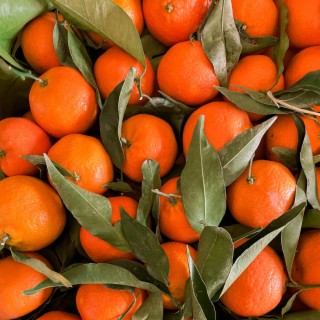 clementines <3