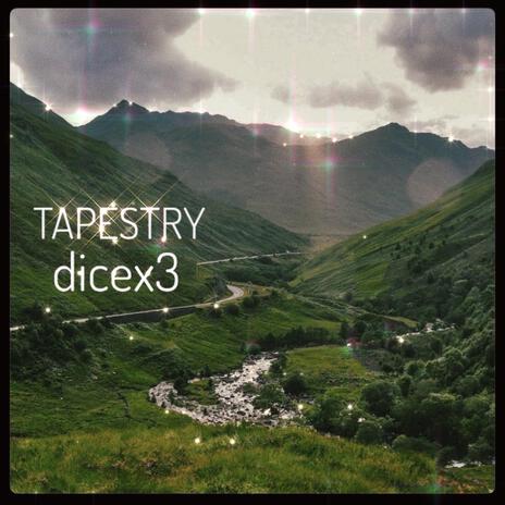 TAPESTRY | Boomplay Music