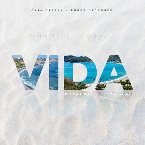 VIDA ft. Magnolia | Boomplay Music