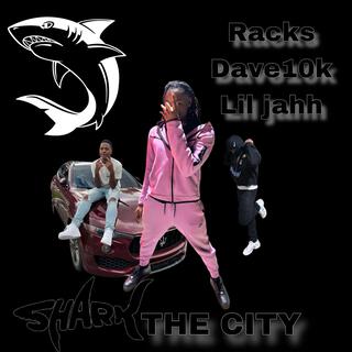 Shark The City