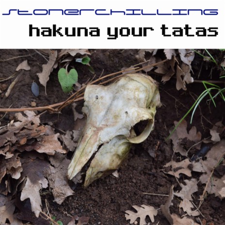 Hakuna your tatas | Boomplay Music