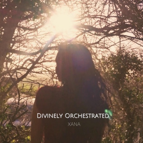 Divinely Orchestrated | Boomplay Music