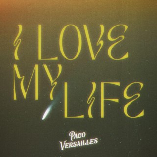 I Love My Life (Vandelux Remix)