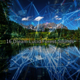 16 Dream Lucid Forest Sounds