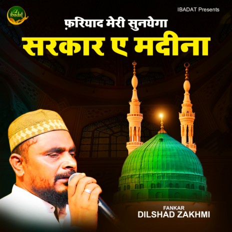 Fariyaad Meri Suniyega Sarkar-E-Madina | Boomplay Music