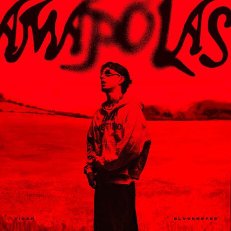 Amapolas ft. Blvck Reyes | Boomplay Music