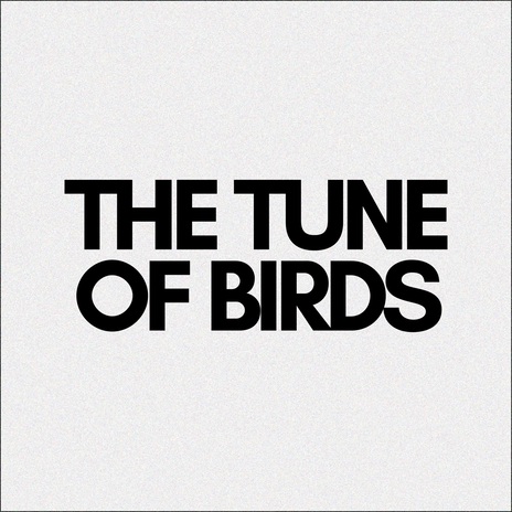 The Tune of Birds | Boomplay Music