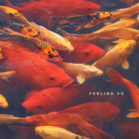 Feeling So | Boomplay Music