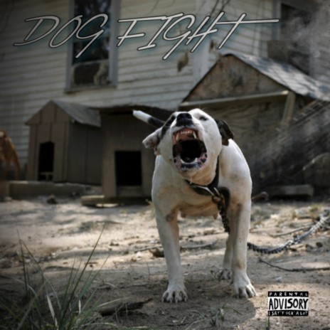 Dog Fight | Boomplay Music