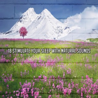 18 Stimulate Your Sleep With Natural Sounds