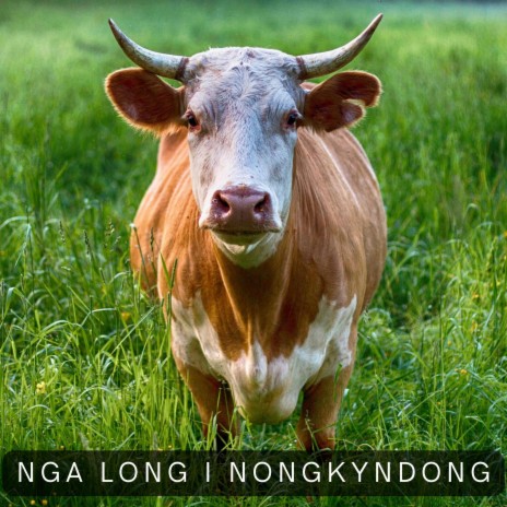 NGA LONG I NYNGKYNDONG | Boomplay Music
